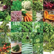 We understand how important quality is to our customers so that is jung seed is the expert in the field of all things gardening and quality products. Aero Seeds Vegetable Seeds Bank For Home Garden 25 Varieties 1320 Seeds Seed Price In India Buy Aero Seeds Vegetable Seeds Bank For Home Garden 25 Varieties 1320 Seeds Seed Online At Flipkart Com