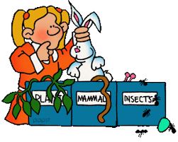 These differentiated kindergarten activities and printables make learning fun and effective. Free Powerpoint Presentations About Sorting Classification For Kids Teachers K 12