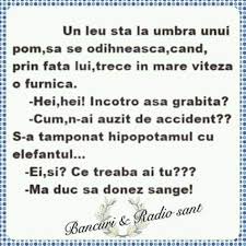 Pin By Delia Pascal On Umor Life Humor Humor Funny