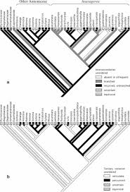 Image result for Annickia