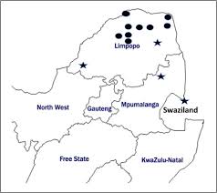 Image result for Stemodiopsis buchananii