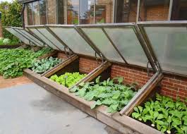 Voir plus d'idées voici un plan de construction de châssis qui vous rendra bien des services pour faire des semis. Petite Serre De Jardin Choix Et Conseils