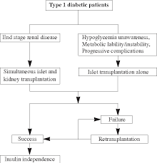Figure 1 From Islet Transplantation An Update Semantic