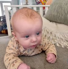 Bescherm je trouwe viervoeter! 🐶 In de vacht van je hond verstoppen zich  vaak ongewenste beestjes zoals teken, vlooien en muggen. Deze kunnen niet  alleen zorgen voor irritaties bij je harige vriend,