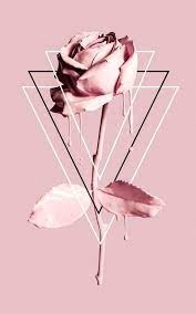 Pin Oleh Lalita Vania Di Bunga Wallpaper Iphone Poster Abstrak Objek Gambar