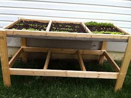 How To Build And Grow Your Own Salad Table Living On The Cheap In 2020 Small Gardens Plants Garden Design