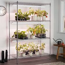 This means we have to provide the maximum amount of wavelength possible for the best development of our cannabis plant. The Ge Grow Lights Lightbulb Will Make Your Plants Grow Even Faster Than If They Were In Outdoor Lighting