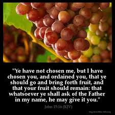 Pin On Bible Scriptures Kjv