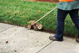 Garden edging offers many functions to your garden and to the entire aesthetic of your lawn, yards and the whole of the home, truth be told. 23 Cheap Amazing Garden Edging Ideas You Can Try Trees Com