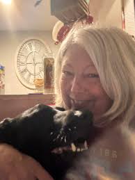 Anyone missing a black and white thin dog in Eagle rock? The beautiful dog  was just hanging out infront of my yard ( La Toya Trail) but wouldnt  approach, and when a