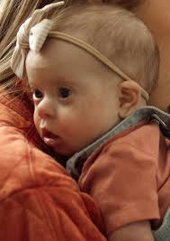 Obituary for Wren Linebaugh