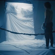 Cody Strout, CSI (@codystrout) • Instagram photos and videos