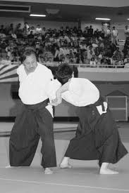 Pin On Aikido Sangenkai Blog Pics