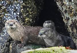 Marcus Donner (@marcusdonner) · Instagram photos and videos