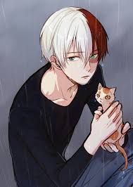 I Just Got Result Shoto Todoroki On Quiz Which Boku No Hero Academia Character Is Your Best Friend What Will You G Anime Guys Anime Boku No Hero Academia