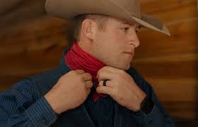 Hand-dyed silk wild rags, pillowcases, scrunchies, & yarn