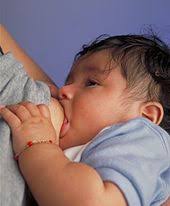 Breastfeeding Wikipedia