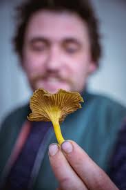 Local food takes Newfoundland and Labrador cuisine to new heights