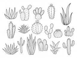 This cartoon cactus is simple to draw. Cute Hand Drawn Cactuse In The Pots Cactus Houseplants Flowers Succulents In Pots On A White Cactus Vector Cactus Drawing How To Draw Hands
