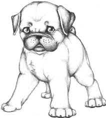 Dogs and cats are interesting creatures, sometimes exhibiting strange behaviors that may leave you scratching your head. Skecth Of Pug Dog Coloring Page Color Luna Puppy Coloring Pages Dog Coloring Page Cute Pugs