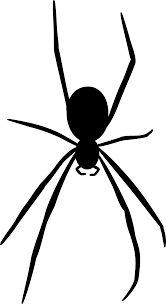Black Spider Png Image Background Png Arts Browse and download hd spider png images with transparent background for free. black spider png image background png