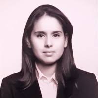 300+ "Tello-torres" profiles