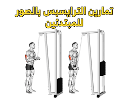 pin on تمارين الترايسبس بالصور