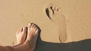 Auch unsere fähre wird vom gehirn als etwas wahrgenommen, das es. Wie Uberwinden Die Immunzellen Bei Ms Die Blut Hirn Schranke