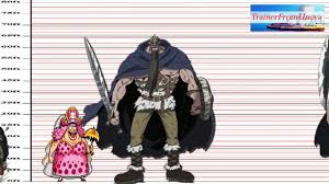 One Piece Character Sizes