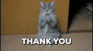 Birthday Thank You Gif Funny Https Encrypted Tbn0 Gstatic Com Images Q Tbn 3aand9gcsccd8a Veswidoghrnu1eoij0cxs2d3vnuka Usqp Cau