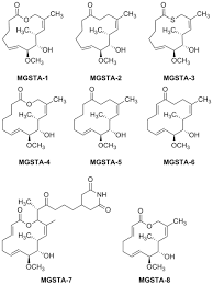 Structures of migrastatin MGST-7 and tested migrastatin analogues... |  Download Scientific Diagram