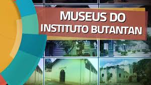 Download free instituto butantan vector logo and icons in ai, eps, cdr, svg, png formats. Instituto Butantan Conheca O Centro De Pesquisa Da Coronavac No Brasil Guia Do Estudante