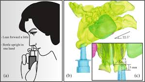 Using a nasal spray close the nostril that is not receiving the medication. Numerical Evaluation Of Spray Position For Improved Nasal Drug Delivery Scientific Reports