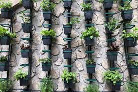 Create gardens in any space with the help of wall pockets and planters from vertical garden. Are Vertical Gardens Hard To Maintain Garden Tabs