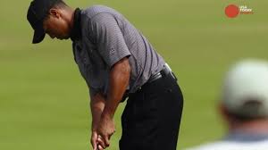 Image result for The Masters 2017