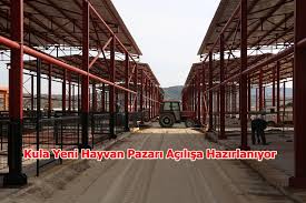 Kula Yeni Hayvan Pazari Acilisina Sayili Gun Kaldi Kula 4 Eylul Haber