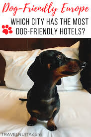 Which City Has The Most Pet Friendly Hotels In Europe Travelnuity Dog Friendly Hotels Pet Friendly Hotels Europe Travel Destinations