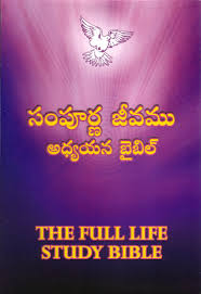 Buy Full Life Study Bible Leather Cover Telugu Book Online At Low Prices In India Full Life Study Bible Leather Cover Telugu Reviews Ratings Amazon In