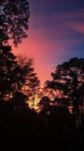 Terkini background hutan, pemandangan indah. 140 Ide Sunset Pemandangan Fotografi Alam Fotografi Pemandangan