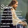 Portada » oración antes de dormir. Https Encrypted Tbn0 Gstatic Com Images Q Tbn And9gcskrwhpqhw8ln2hczar96ged Apayomfd3h8rsyfrnfi Xpwbgl Usqp Cau