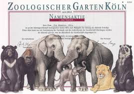 I spent hours visiting them all. Zoologischer Garten In Koln Namensaktie Von 2002