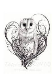 Gambar burung cililinformat png : 35 Ide Owl Png Burung Hantu Gambar Seni