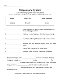 Respiratory System Instant Worksheets Respiratory System Activities Respiratory System Respiratory System Anatomy
