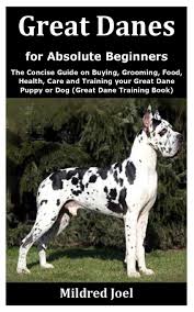 Eight great dane puppies for sale, four black puppies and four spotted ones. Great Danes For Absolute Beginners The Concise Guide On Buying Grooming Food Health Care And Training Your Great Dane Puppy Or Dog Great Dane Training Book Joel Mildred 9798689453699 Amazon Com Books