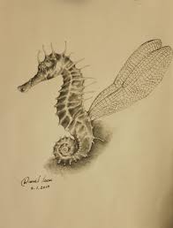 How to draw a seahorse step 1. Seahorses Drawingthings S Blog