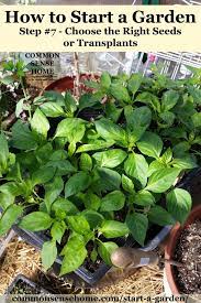Growing conditions and ripening cycles are different depending on the plant and the season, so you should not sow all the seeds at the same. How To Start A Garden 10 Steps To Gardening For Beginners
