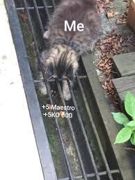 Hunting Horn Feels From Jareth Tapia Monster Hunter Memes Facebook
