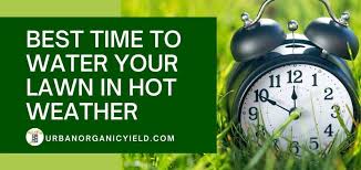 Once the weather turns cold enough, you can stop watering because the lawn will start. When Is The Best Time To Water Lawn In Hot Weather