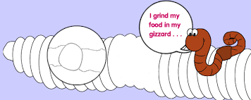 How I Digest The Adventures Of Herman The Worm U Of I Extension Worms Minibeasts Adventure