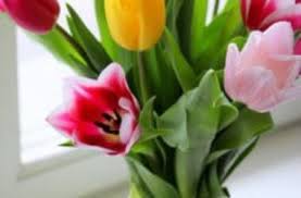 Maybe you would like to learn more about one of these? Fiori Per Compleanno Ad Ognuno Il Suo Fiore Di Buon Compleanno